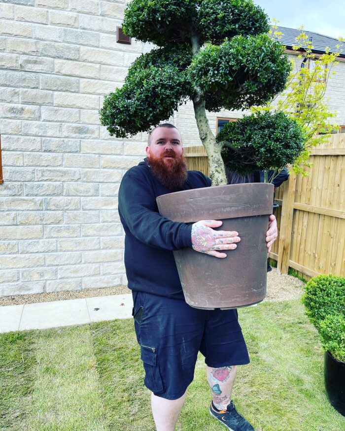 Craig Atkinson Removals team member carrying a large potted tree during a house move in Burnley.