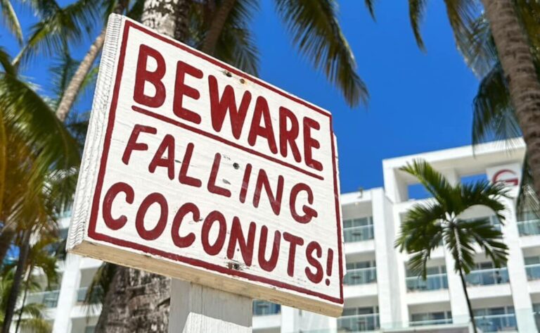 Sign reading “Beware Falling Coconuts” under palm trees and blue sky.