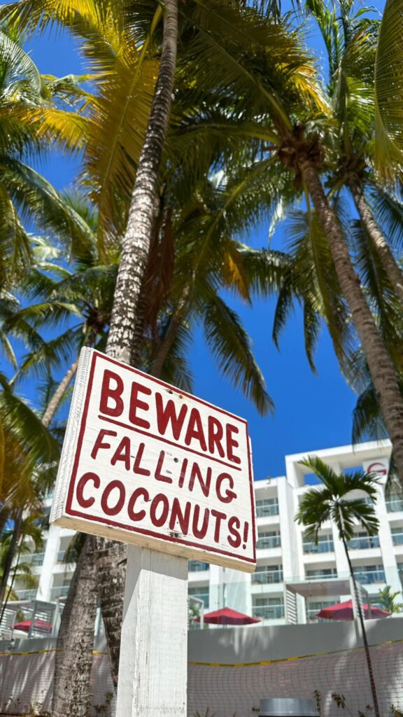 Sign reading “Beware Falling Coconuts” under palm trees and blue sky.